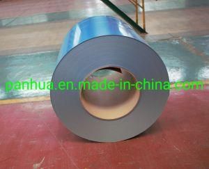 Supply Completely Prepainted Steel Coil