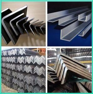 Section Bar Angle Bar Flat Bar U Channel Ipn with Good Quality