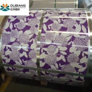 Prepainted Galvanized Steel Coil with Ral Colors PPGI