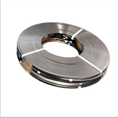 Factory Supply 316 Stainless Steel Strip