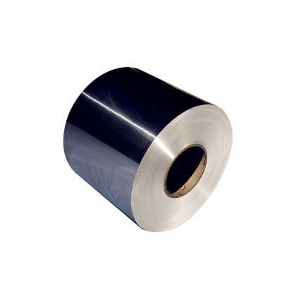 Made in China Best Price Coil