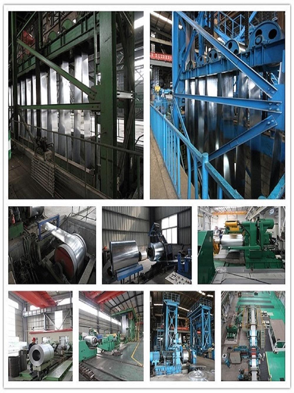 SGCC/Dx51d/Steel Sheet/Galvanised Coil/Color Coated Steel Coil /PPGI/PPGL/Galvanized Steel Strip/Prepainted Galvanized Steel Coil in Hot Sale