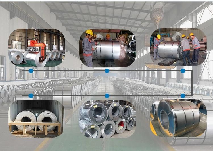 Free Spangle Light Galvanized Steel Coil Zinc Coated Steel Coil Quotation