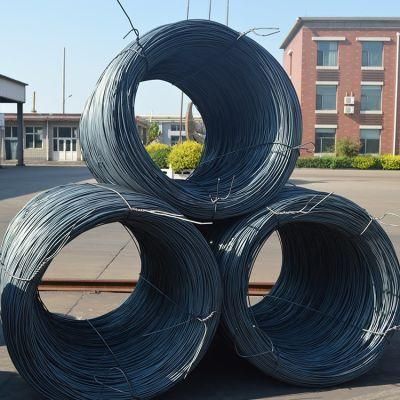 High Carbon Stainless Spring Steel Wire