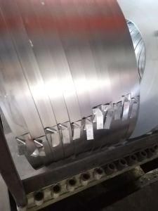 Galvanized Steel Coil/Strip
