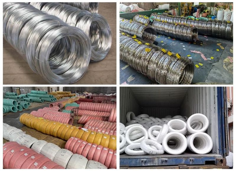 0.3 Stainless Steel 316L 304 Cut Wire 20mm