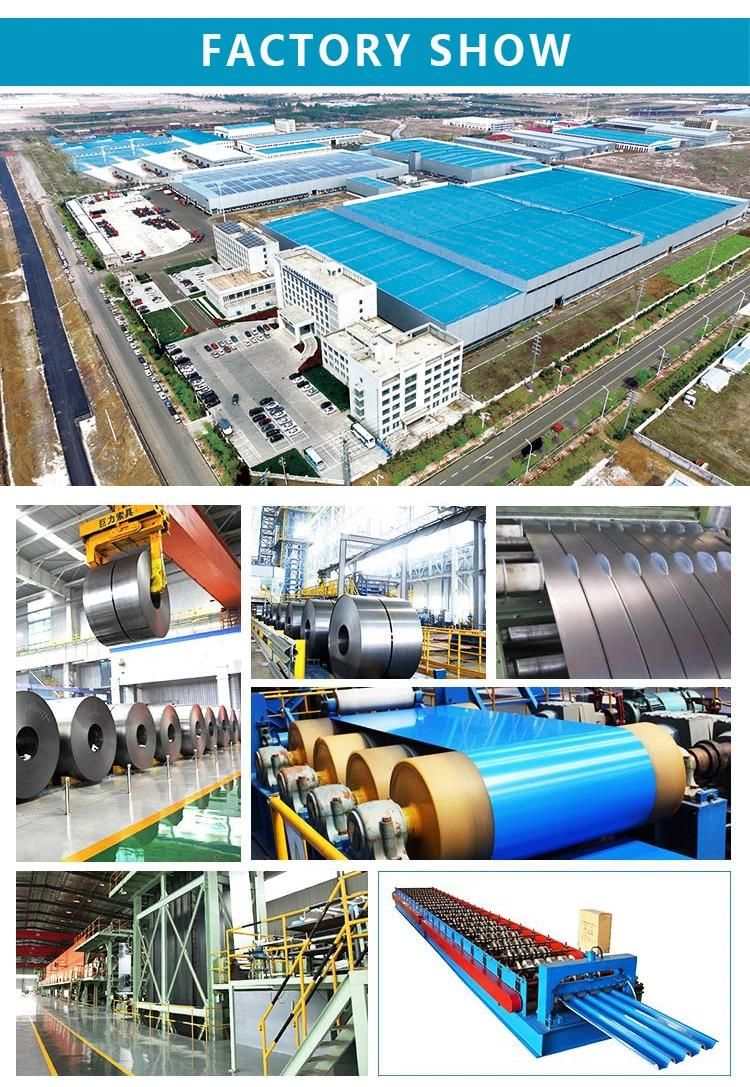 PPGL Commercial Quality Galvanized PPGI Steel Coil