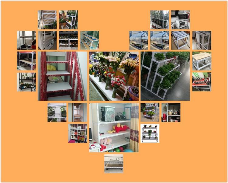 Hot Selling New Type Powder Coated Slotted Angle Bars with Holes