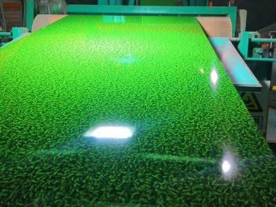 Grass Pattern Galvanized PPGI Coil Construction Roofing and Wall Steel Plate Coil