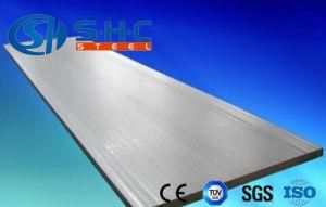 Food Grade Austenitic AISI304 304L 1.4301 Stainless Steel Sheet