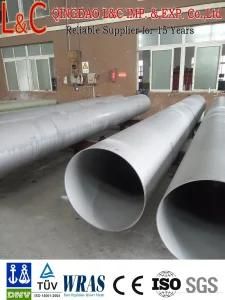 SS304 Stainless Steel Welded and Seamless Tube/Pipe