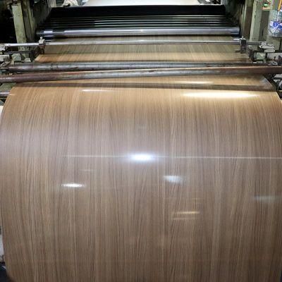 Full Hard Metal Cheap Price Quality High PPGI Steel Coil Color Coated Galvanized Steel Sheet Coil