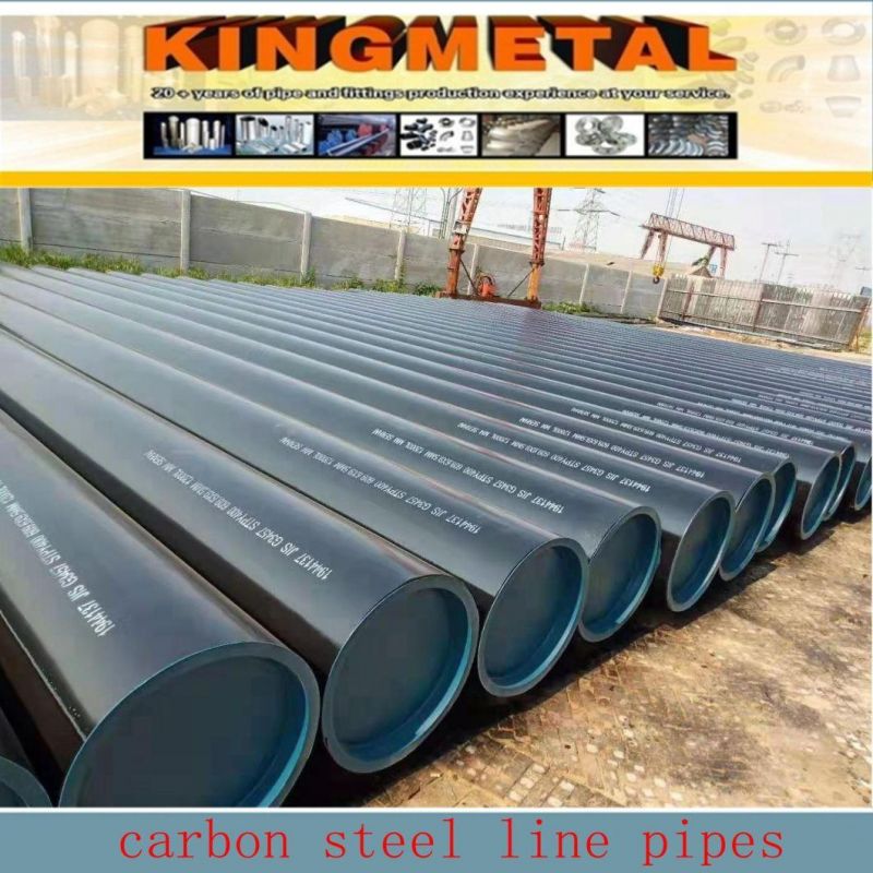 ASTM A53/A106/API5l Psl 1/X42/Psl 2 Seamless Carbon Steel Pipe