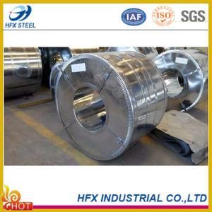 Hot Dipped Galvanized Steel Coil Width 600mm-1500mm
