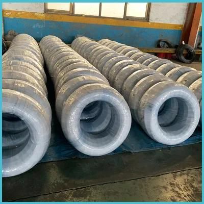 Customized 2mm 4mm 5mm High Carbon Spring Steel Wire