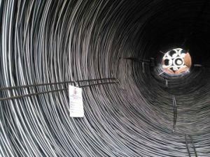 SAE1006/1008 Low Carbon Hot Rolled Steel Wire Rod
