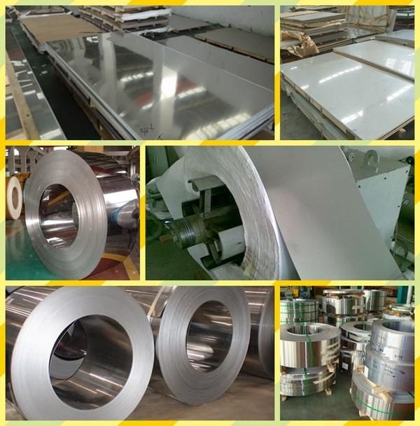 Cold Rolled 0.8mm 1.0mm AISI304 Stainless Steel Coil