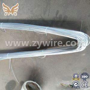 Tianjin Factory Galvanized Iron Wire for Construction