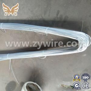 Tianjin Factory Galvanized Iron Wire for Construction