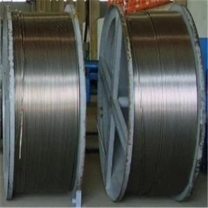 Tp 304 Stainless Steel Coiled Pipe for Oil and Gas Well