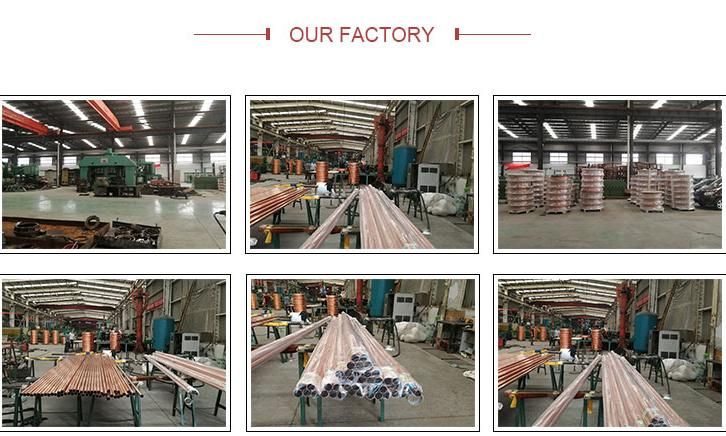Structural Steel H Beam Factory Galvanized H Shaped Steel Q355b for Building Material