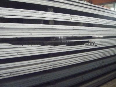 Vessel Steel Plate (SBV1A)