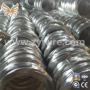 Q195 Galvanized Steel Wire for Sale