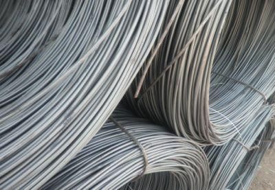 Ms Wire Rod 5.5mm 6.5mm! SAE 1006 SAE 1008 Low Carbon Hot Rolled Steel Ms Wire Rod Price in Coils