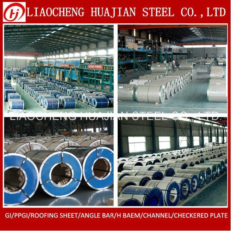 Regular Spangle Hot DIP Galvanized Steel Sheet in Coils