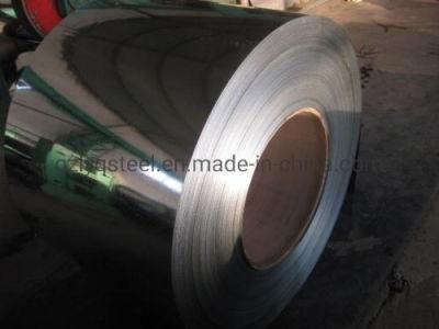 Hot Dipped Galvanized Steel Coil/Sheet/Plate/Strip