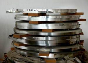 AISI 316 304L 304 Stainless Steel Strip/Coil with Lower Prices