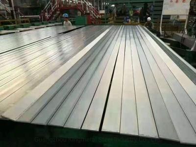 Ck45, AISI 1045, S45c, C45e4 Hot Rolled Steel Flat Bar