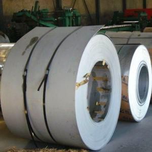 Professional Manufacturer Stainless Steel Coil 33 Grade