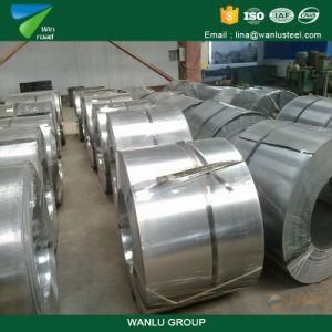 SPCC Annealed Cr Steel Coil