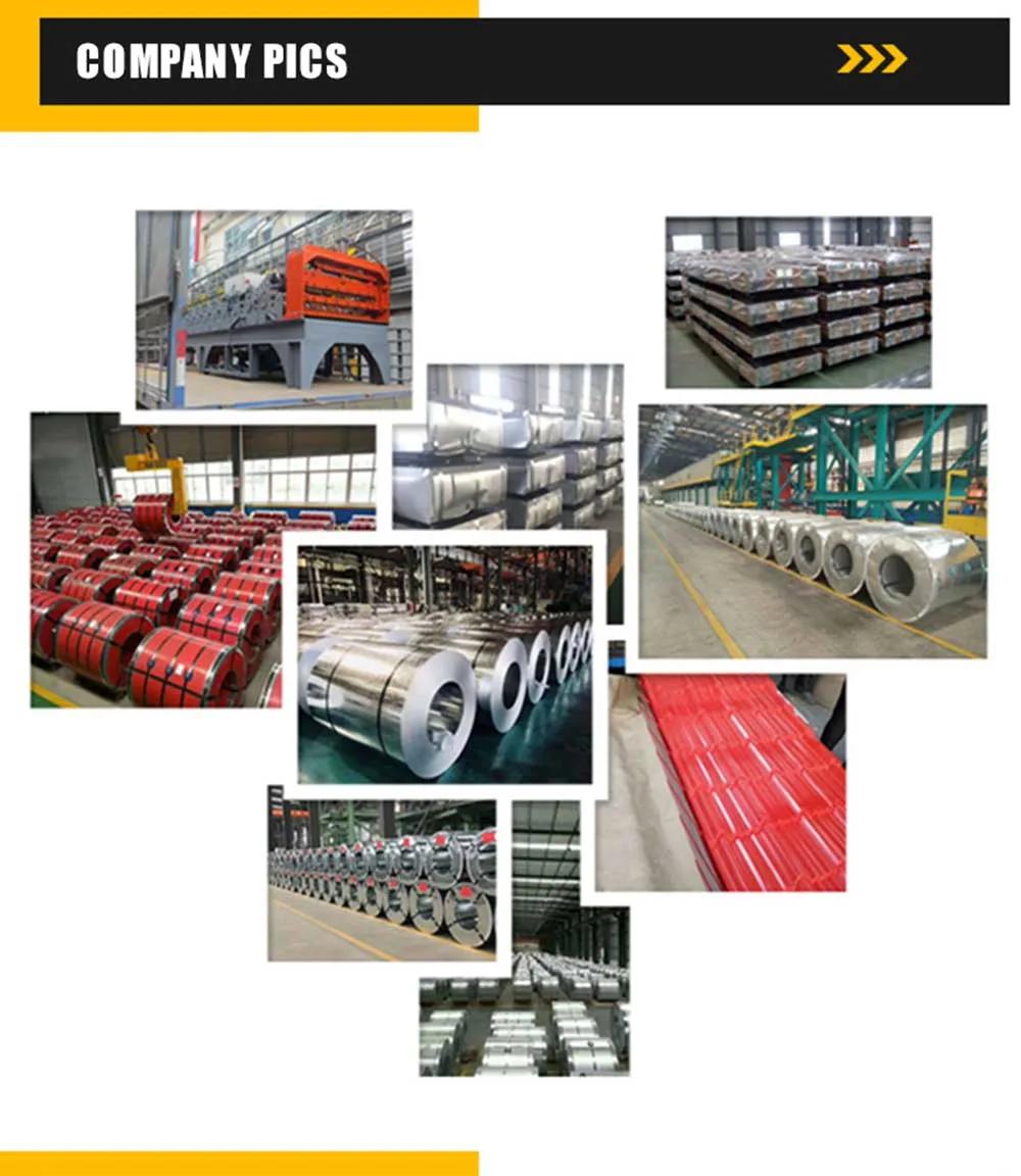 Traders 0.6mm Thick Gp Sheet Galvanized Steel Coils