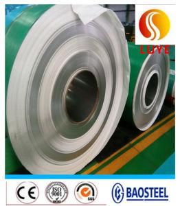 En 1.4439/1.4436 Stainless Steel Galvanized Steel Coils