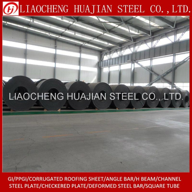 Hot Rolled Carbon Steel Coil for Building