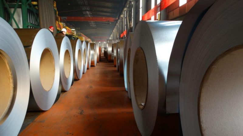 Galvanzied Sheet, Gi Sheet Used for Animal Houses