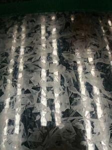 Galvanized Steel Coil Regular Spangle Surface