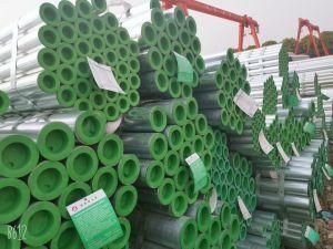 Od 10-300mm Galvanized Tube/Galvanized Pipe with SGS Certificate