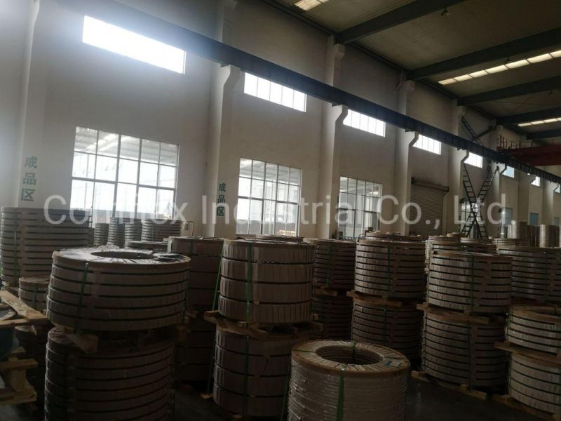 Proper Quality Stainless Steel Strip Especially for Metal Hose Production