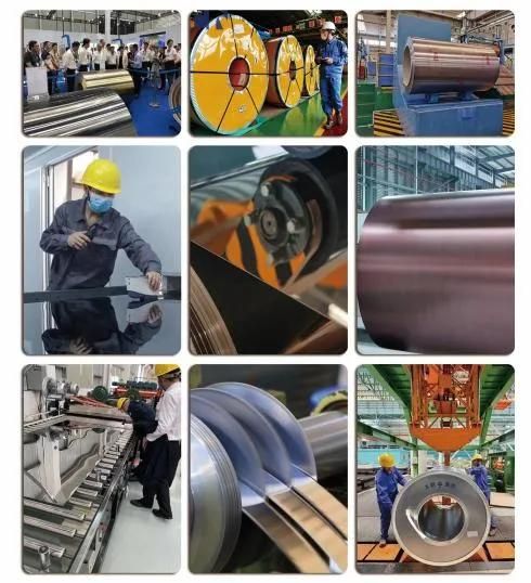 Carbon/AISI Ss201 304L 304 316 309S 910 2b Surface Stainless/PPGI Color Coated Gi Galvanized /Corrugated Roofing Steel Coil for Constructions Building