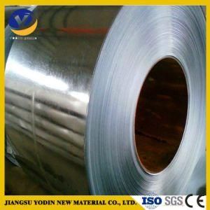 Cold Rolled Gi Coil Steel, Galvanized Steel Strip Coils (CZ-G02)