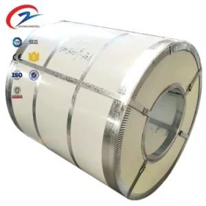 Printed PPGI/PPGL! PPGI Steel &amp; Gi PPGI Coil From China &amp; PPGI Prepainted Galvanized Steel Coil