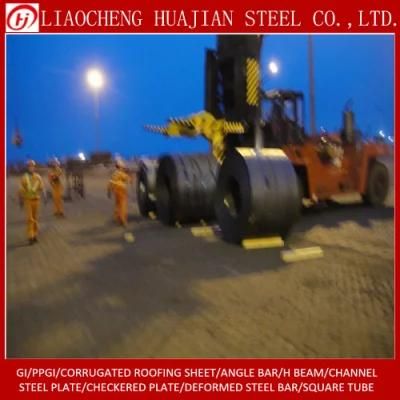 A36 Carbon Steel Coils with OEM