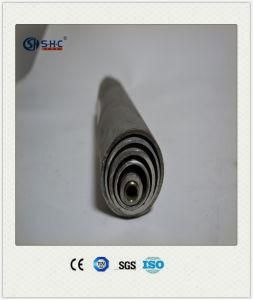 ASTM 304 304L Seamless Stainless Steel Pipe/Tube for Decoration