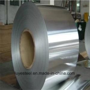 600 Series Stainless Steel Strip/Coil