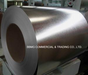 15 Yrs Experience Hot DIP Galvanized Steel Coil