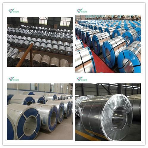 for Roofing/SGCC/Thin Hot-DIP/Galvanized Steel Coil