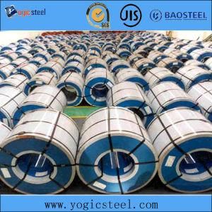 Hot Sale Prepainted Galvanized Steel Coil